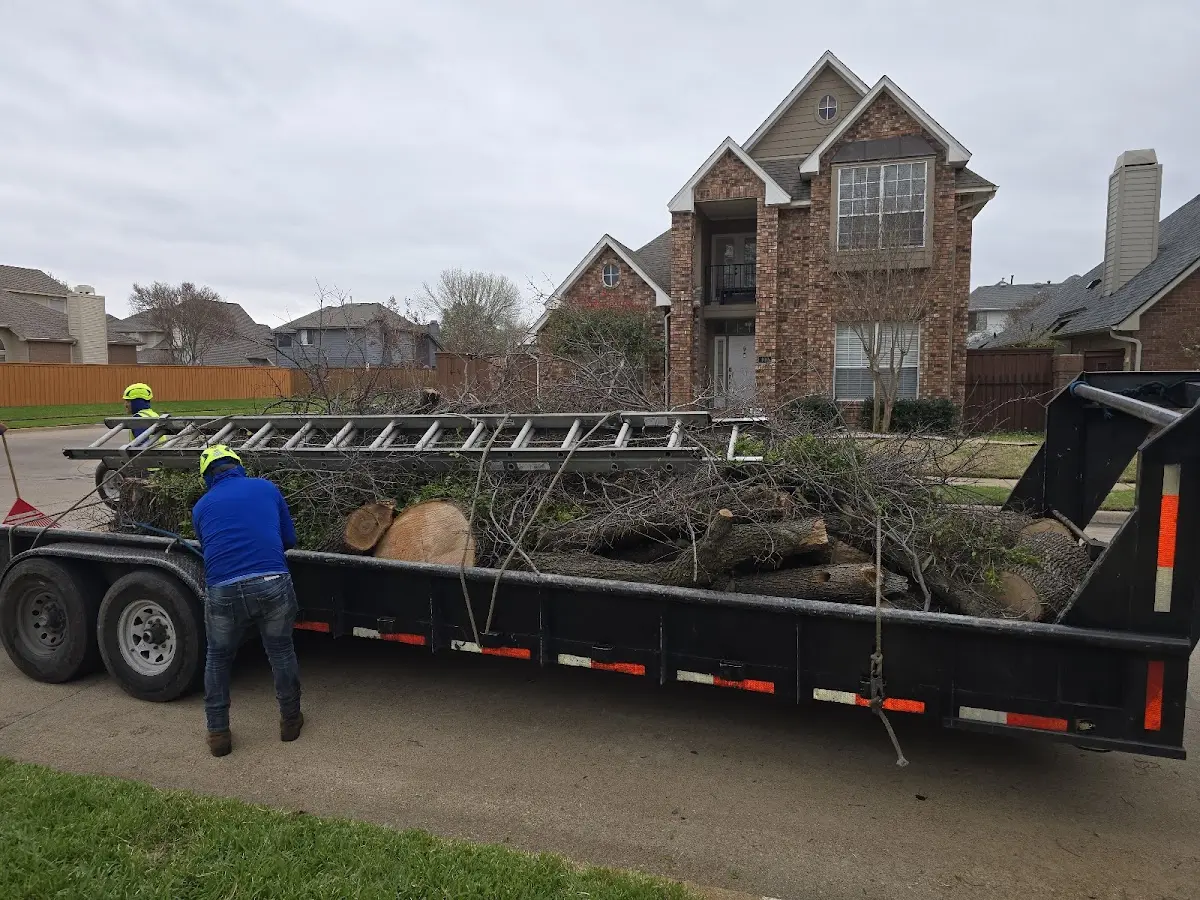 Expert Lot Clearing with proper safety equipment in Greenbush